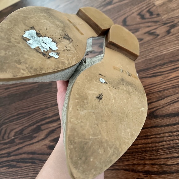 Report mules - Picture 4 of 8